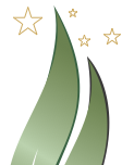 HCFIAE