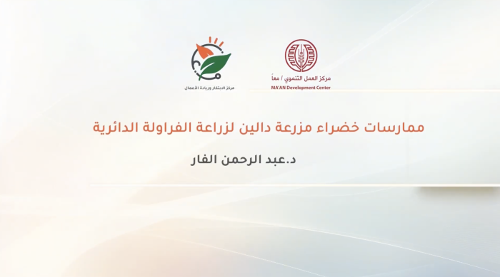 Green practices at Dalin's circular strawberry farm